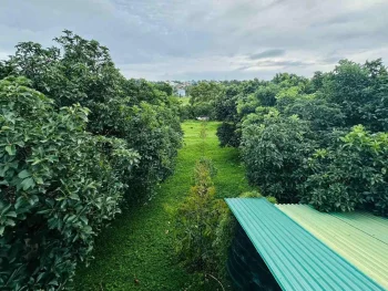 Bán đất nhà vườn Hoà Thắng, BMT