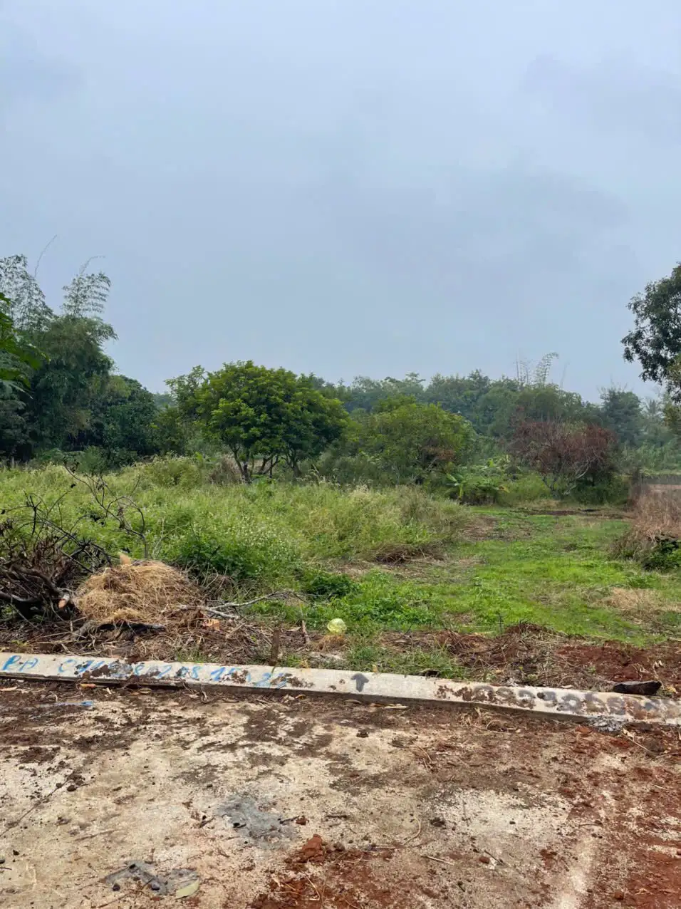 Bán Lô Đất 1161m² Ôm Suối Tại Phan Huy Chú, Buôn Ma Thuột – Cơ Hội Sở Hữu View Nghỉ Dưỡng Đẳng Cấp