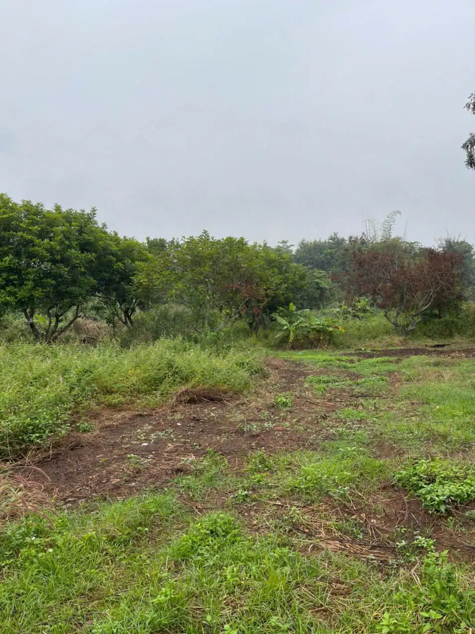 Bán Lô Đất 1161m² Ôm Suối Tại Phan Huy Chú, Buôn Ma Thuột – Cơ Hội Sở Hữu View Nghỉ Dưỡng Đẳng Cấp